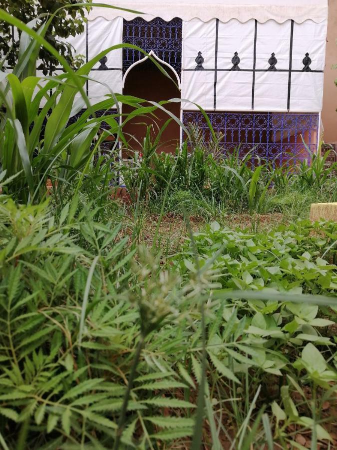 Riad Fennec Sahara Zagora Esterno foto